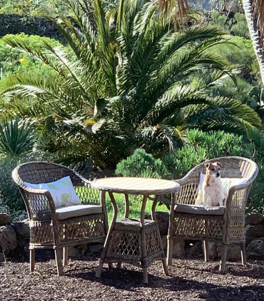 Luxury Villa In Nature With Swimming Pool Tenerife, Santiago Del Teide, With Sea And Mountain Views El Retamar Quarto foto